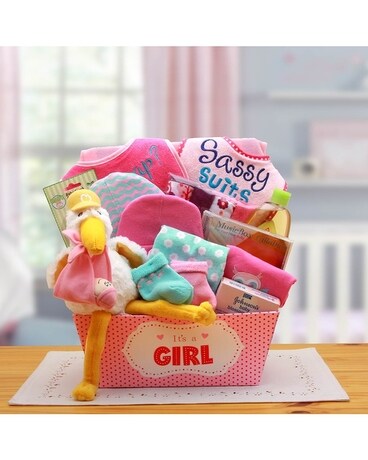 Special Delivery Pink Gift Basket