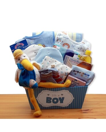 Special Delivery Blue Gift Basket