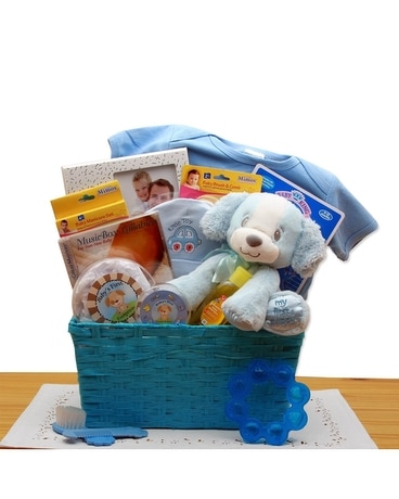 Puppy Love Blue Gift Basket