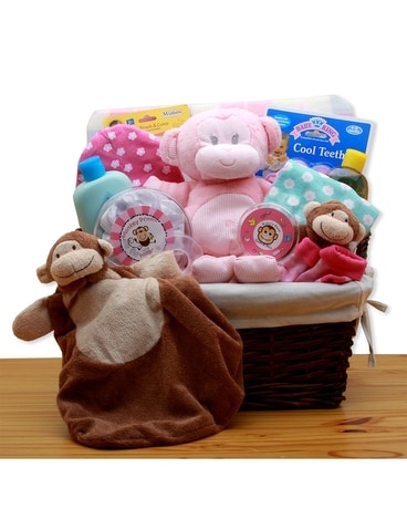 Little Monkey Pink Gift Basket
