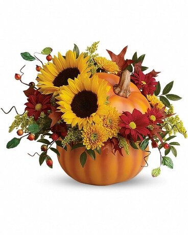 Teleflora's Pretty Pumpkin Bouquet Flower Arrangement