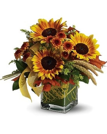 Teleflora's Funflowers Flower Arrangement