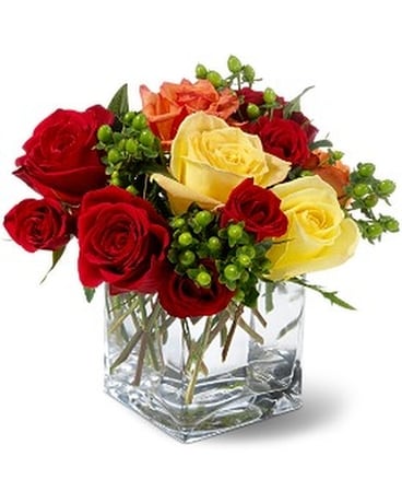 Teleflora's Carousel Roses Flower Arrangement