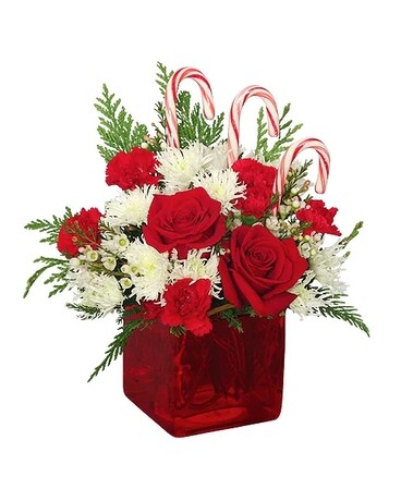 Candy Cane Flower Arrangement