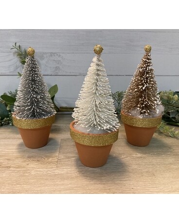 Bottle Brush Trees Gifts