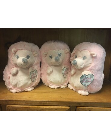 Baby Hedgies Pink Gifts
