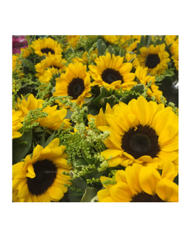 HW Weddings and Events