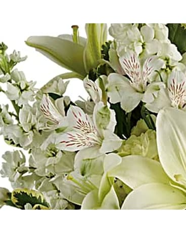 Designer's Choice Sympathy Flower Arrangement