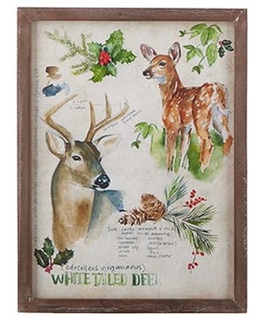 FRAMED WHITETAIL DEER PICTURE #2 Custom product