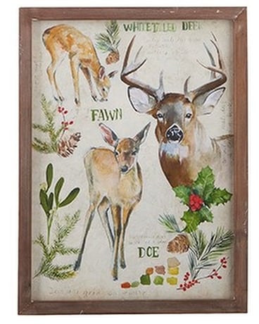 WHITETAIL DEER FRAMED PICTURE #1 Custom product