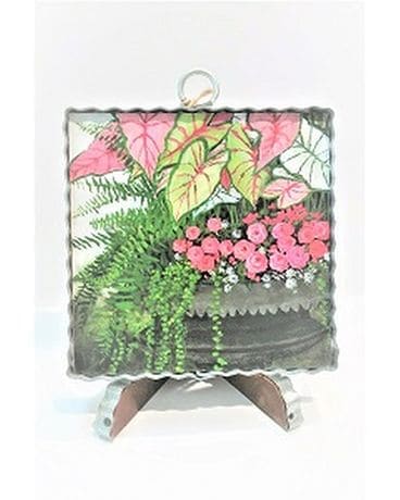 VARIGATED POTHOS & POSIES PICTURE Custom product