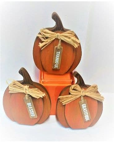 SET OF 3 INSPIRATIONAL PUMPKINS Custom product