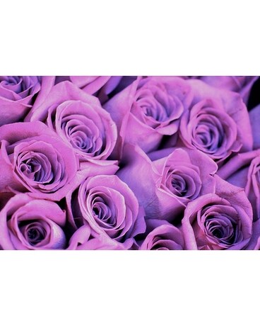 Hand Tied Long Stem Roses Flower Arrangement