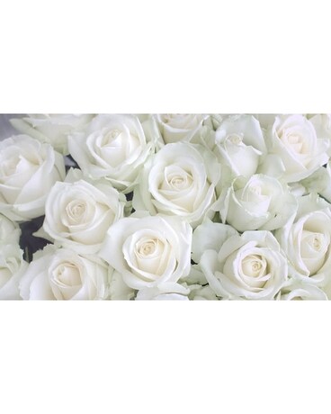 Hand Tied Long Stem Roses Flower Arrangement