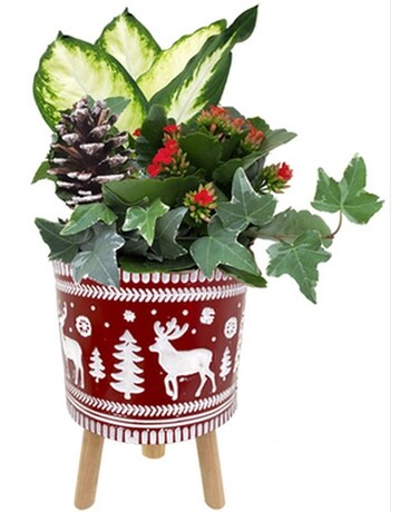 Blitzen Metal and Wood Stand Plant