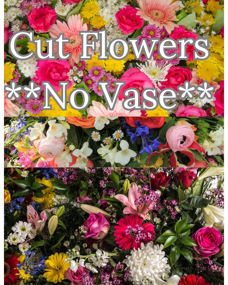 Flowers for Love & Romance Delivery Truro NS - Jean's Flowers And