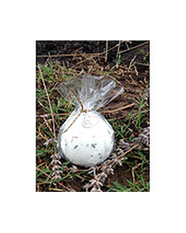 Bath Bombs Custom product