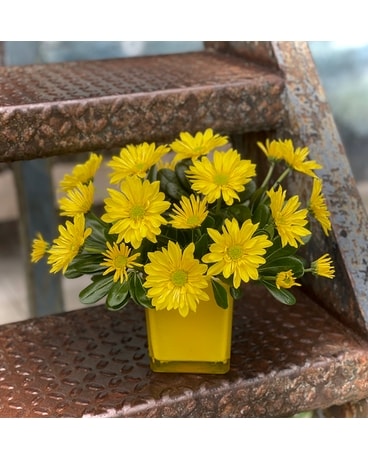 Walkin on Sunshine Flower Arrangement