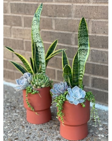 Terra Cotta Dreams Flower Arrangement