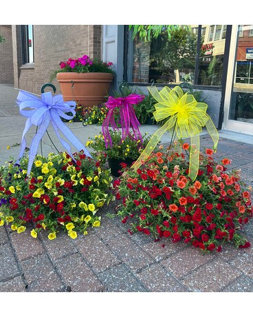 Mixed Petunia Basket Custom product