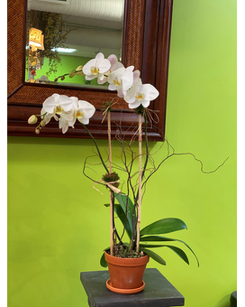 CUSTOM Flower Arrangement