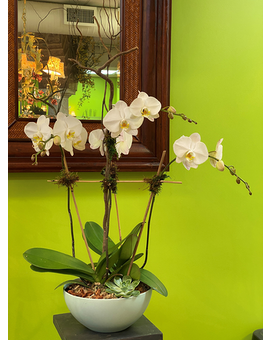 CUSTOM Flower Arrangement