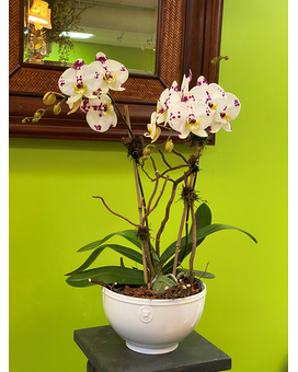 CUSTOM Flower Arrangement