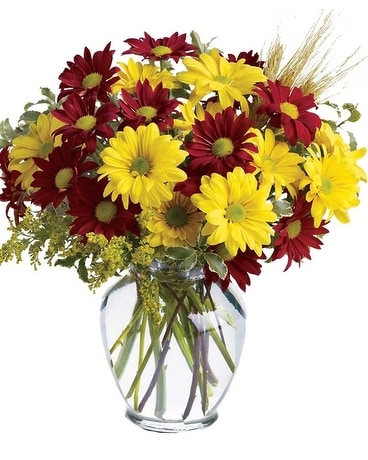 Dee's Autumn Daisies Flower Arrangement