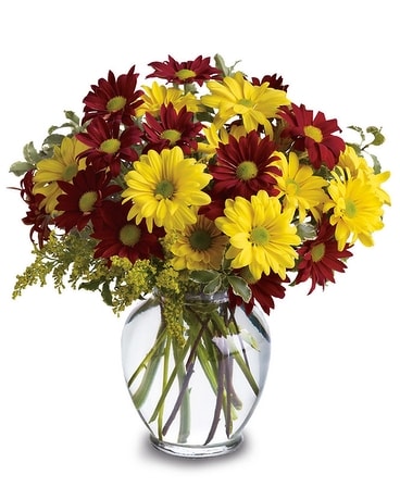 Fall for Daisies Flower Arrangement