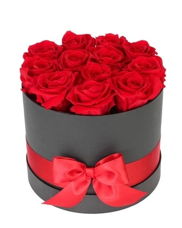 Izabella Custom product