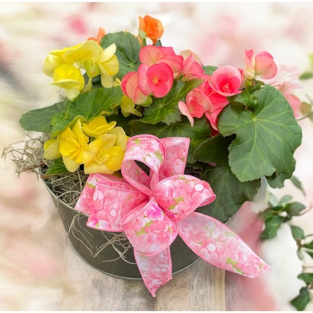 Beautiful and Bright in Naples FL - Driftwood Garden Center & Florist
