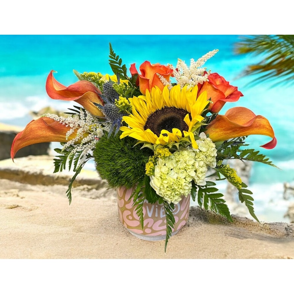 Good Vibes in Naples FL - Driftwood Garden Center & Florist