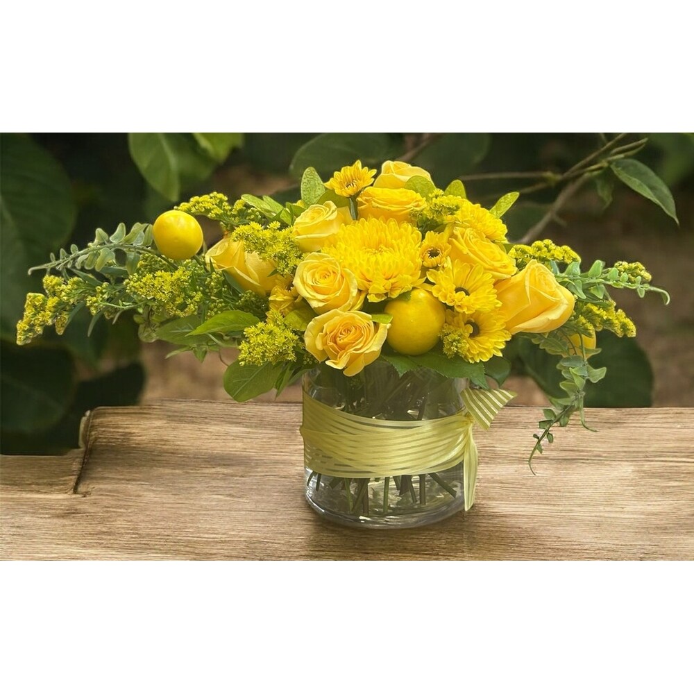 フラワー・ガーデニング lemon Sundaville® Lemon - World's #1 Mandevilla (Dipladenia)