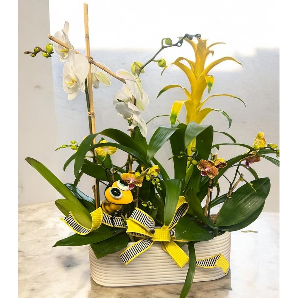 Bee Good to Mom in Naples FL - Driftwood Garden Center & Florist
