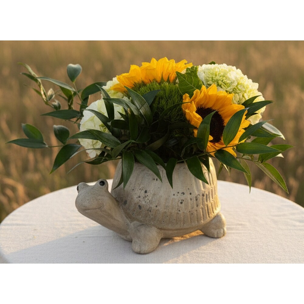 フラワーアレジメント　summer Hot Turtle Summer in Naples FL - Driftwood Garden Center & Florist