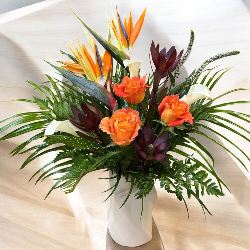 Tropic Twist in Naples FL - Driftwood Garden Center & Florist