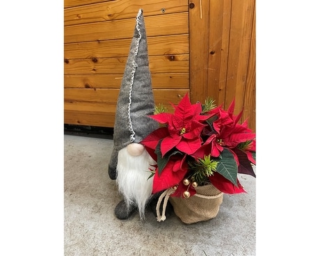 Gnome for the Holiday Plant