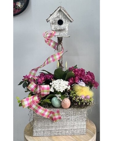 Easter Parade Plant