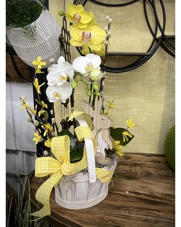 Easter Basket Beauty Plant