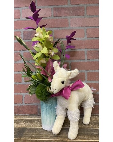 Bahama Llama Flower Arrangement