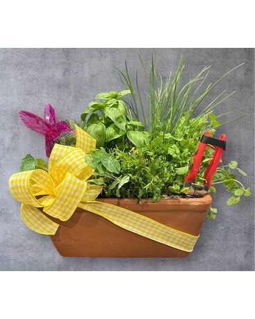 Mom's Herb Garden in Naples FL - Driftwood Garden Center & Florist