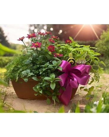 Mom's Tea Garden in Naples FL - Driftwood Garden Center & Florist