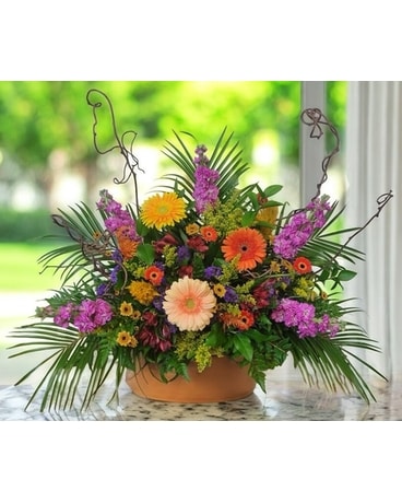 Joy of Life in Naples FL - Driftwood Garden Center & Florist