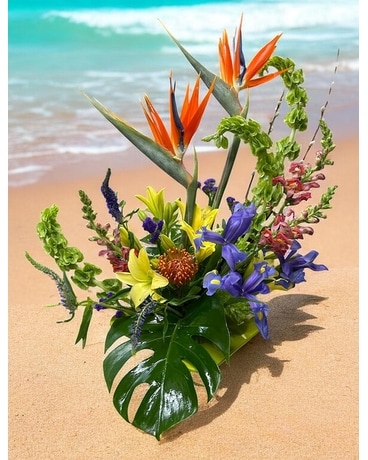 Spring Meets The Tropics in Naples FL - Driftwood Garden Center
