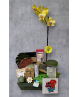 Grandma's basket in Naples FL - Driftwood Garden Center & Florist
