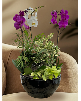 Mom's Tea Garden in Naples FL - Driftwood Garden Center & Florist