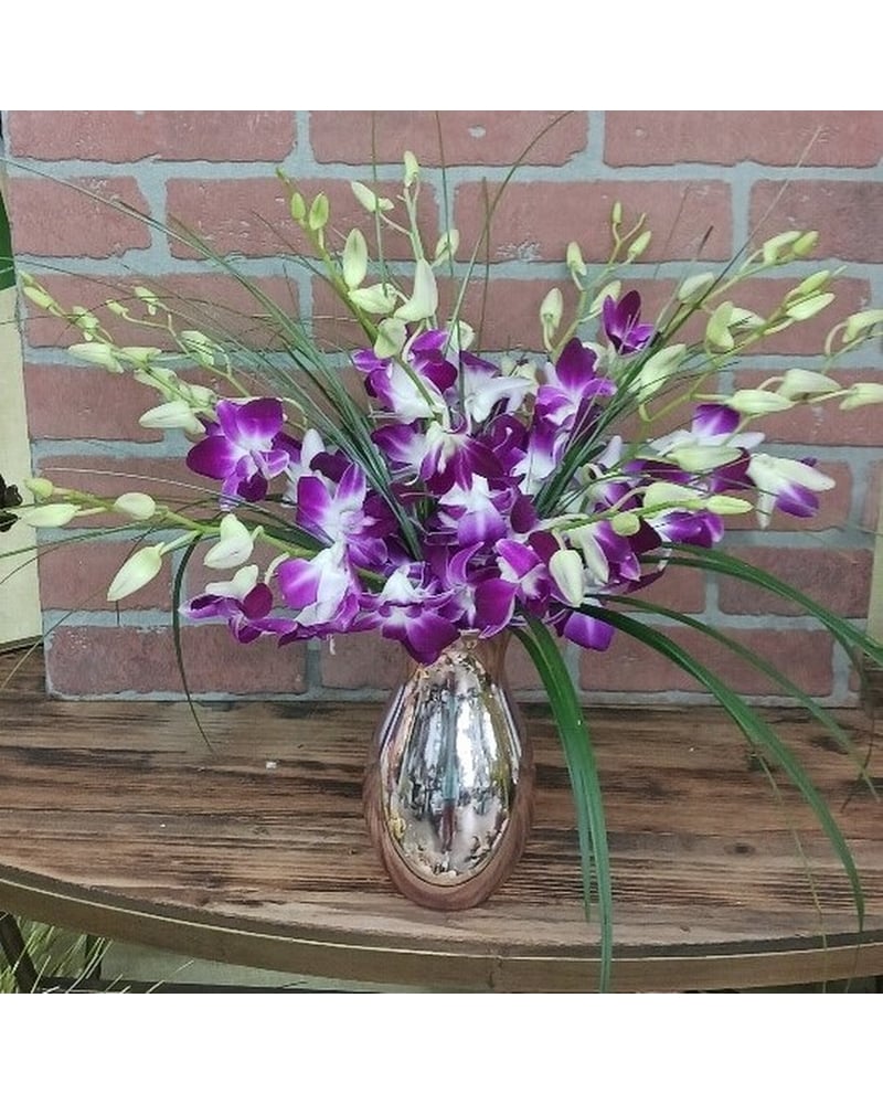 Orchid Explosion in Naples FL - Driftwood Garden Center & Florist