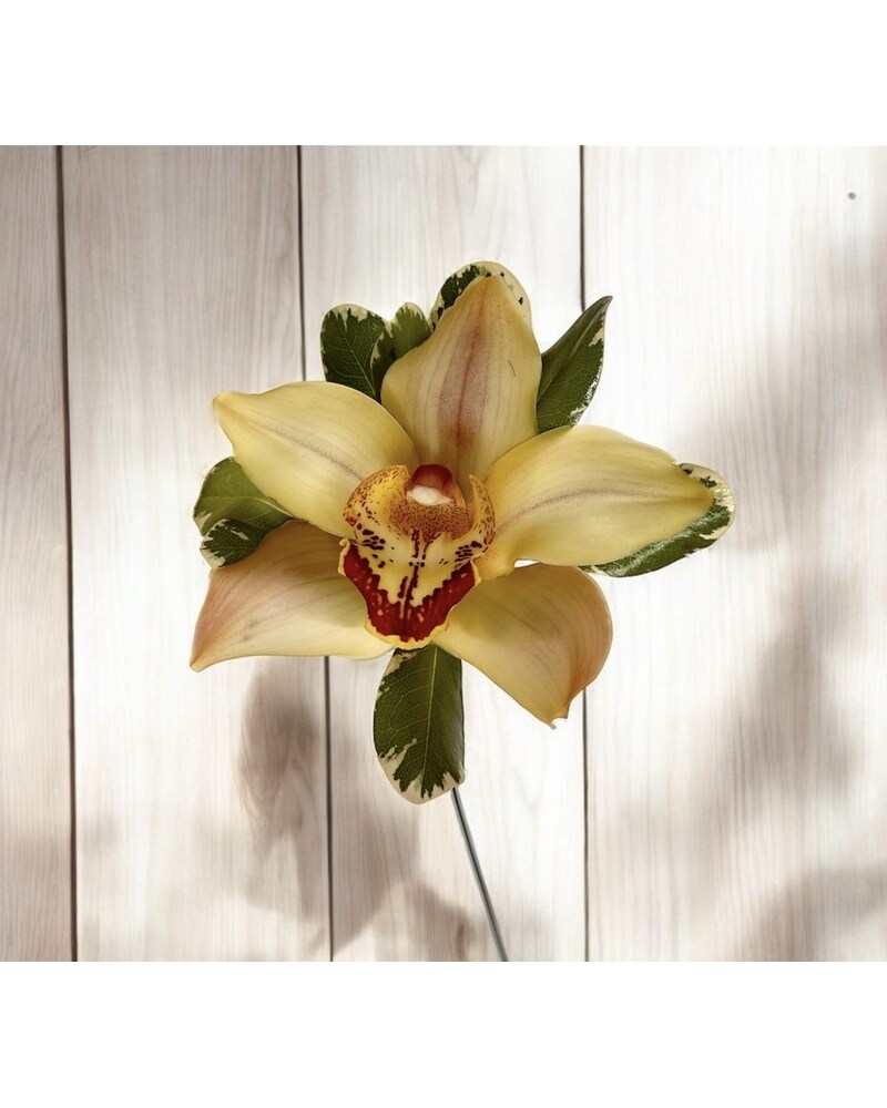 Orchid Boutonniereq in Naples FL - Driftwood Garden Center & Florist