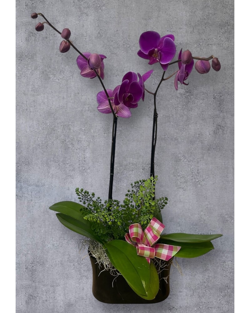 フラワー adidas ZX Flux Floral Sound Garden - Sneaker Bar Detroit