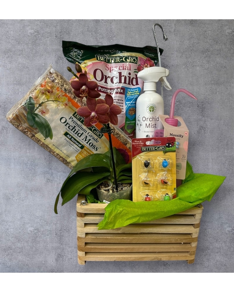 Beginner's Orchid Basket in Naples FL - Driftwood Garden Center